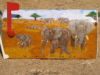 African mailbox  side 1