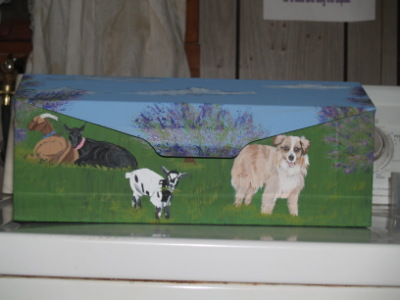Austrailian Shepherd & goats on mailbox 2